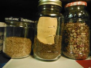 seed in jars